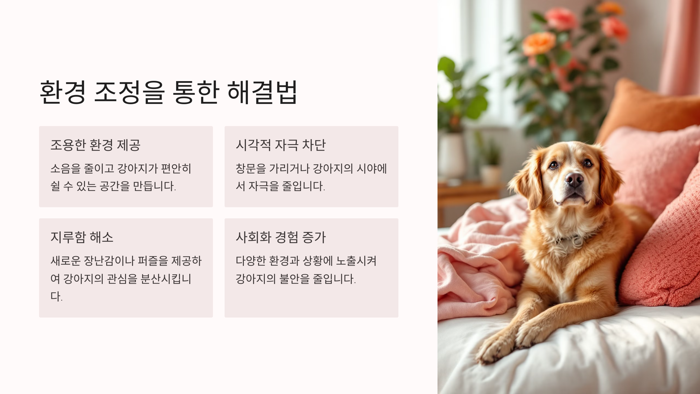 환경 조정을 통한 해결법