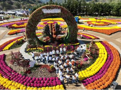 인제가을꽃축제