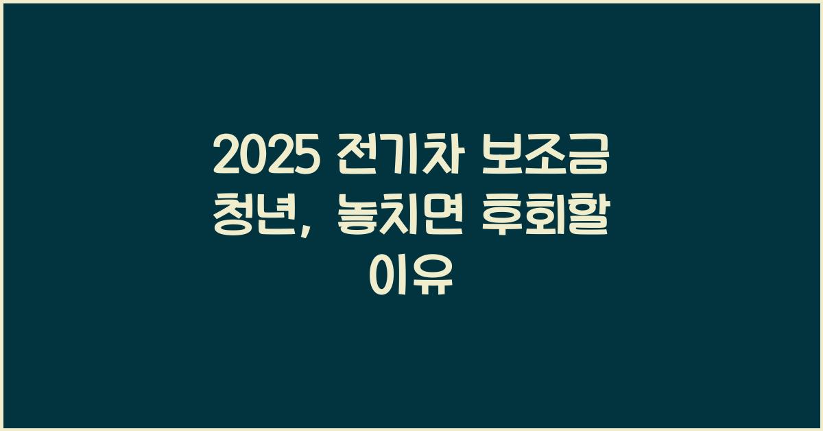 2025 전기차 보조금 청년