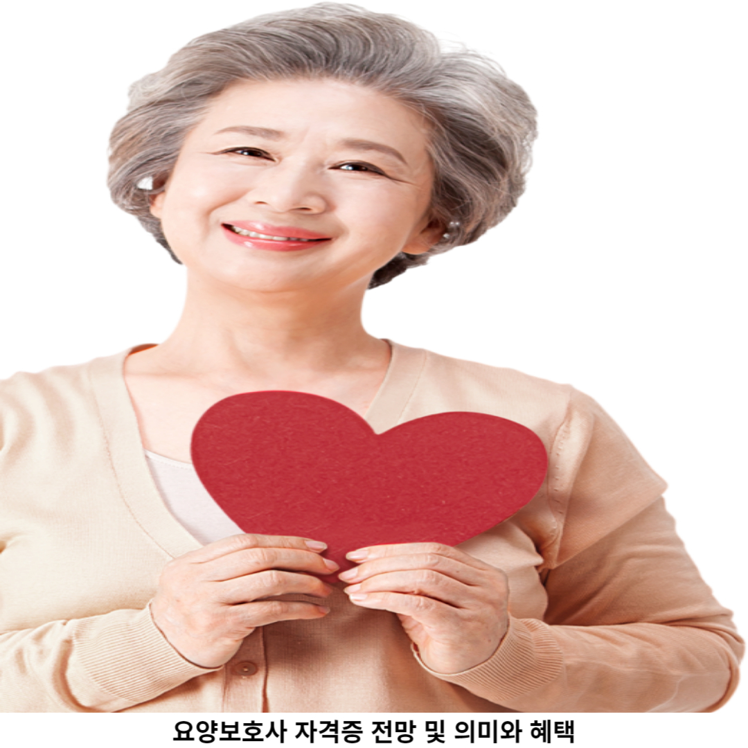 자격증 소지자의 혜택과 사회적 기여