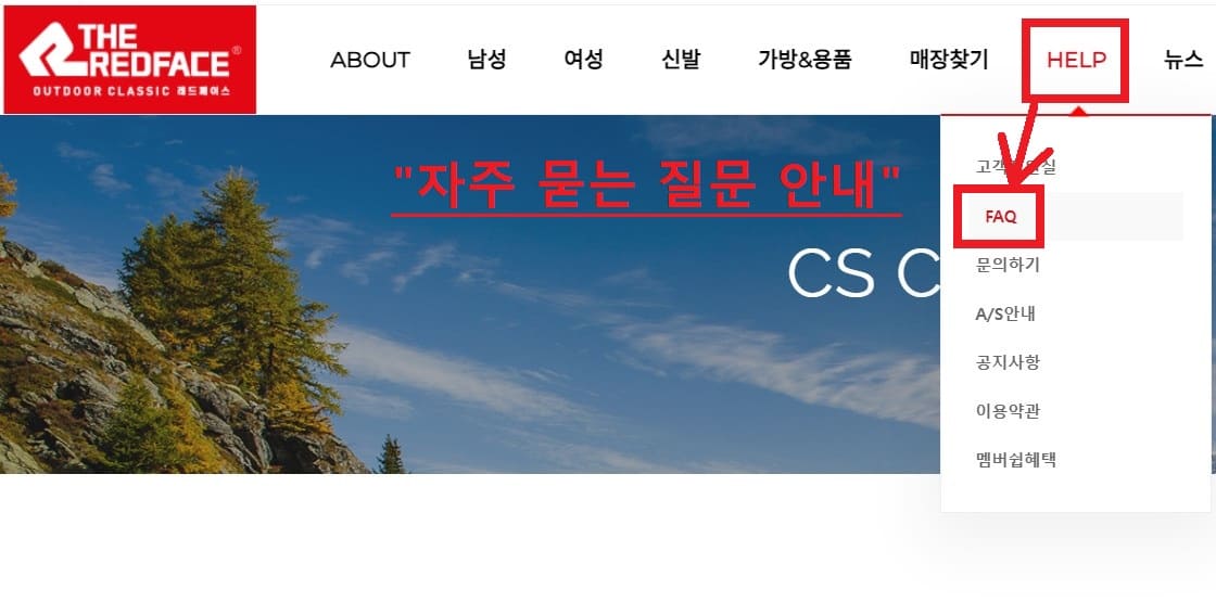 레드페이스 자주 묻는 질문