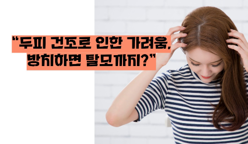 두피 가려움증 원인 치료