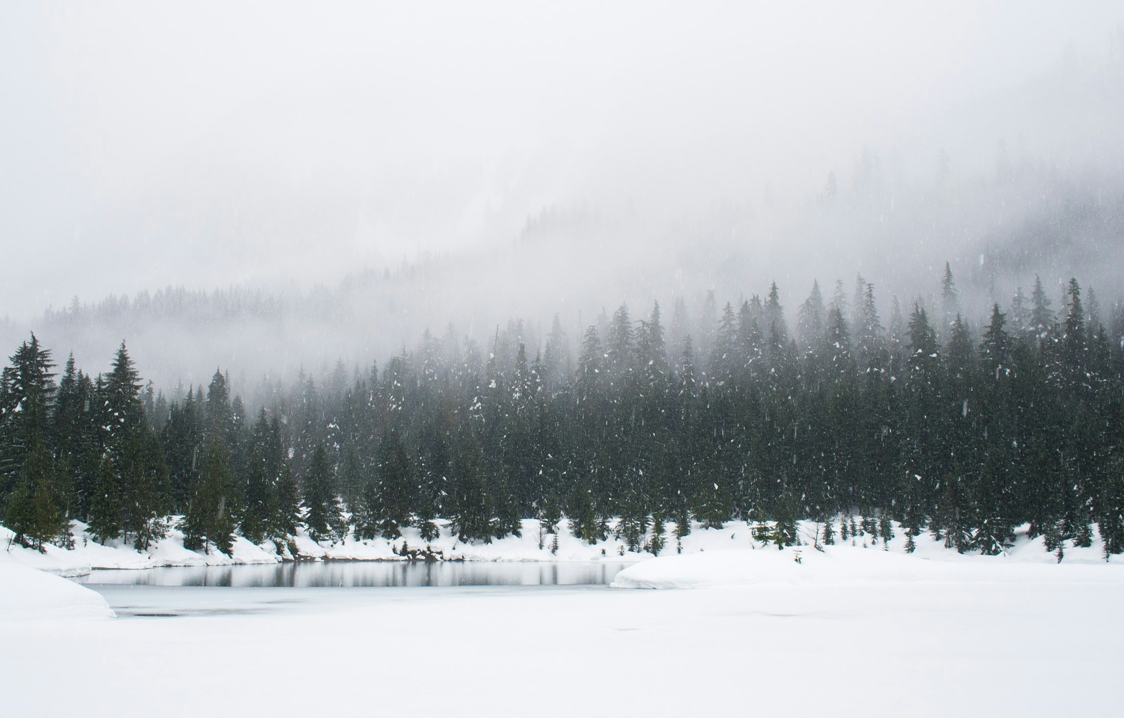 &copy; Adam Chang, Unsplash