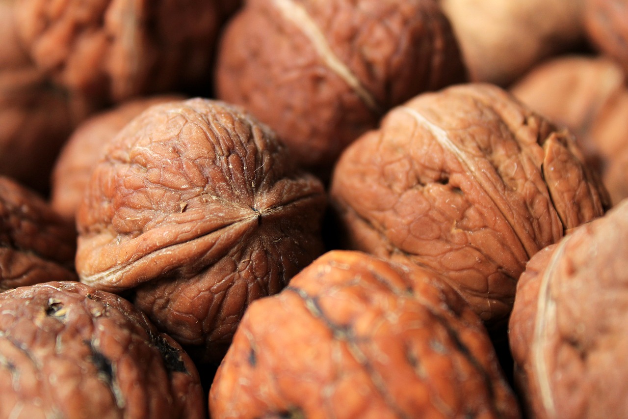 호두의 건강 효과 관련 사진