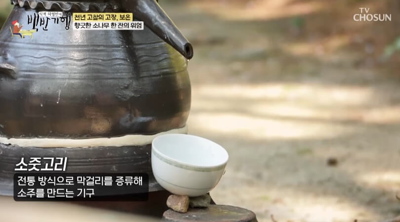 식객 허영만의 백반기행 299회 정일우의 보은 밥상 충북 보은 자연산 버섯전골 맛집 구병산골가든