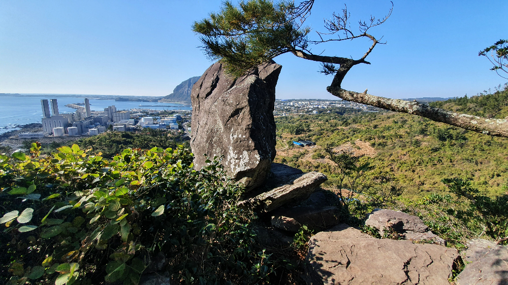 제주 올레9코스