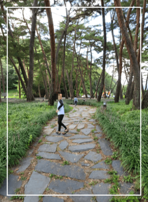 상주 아이사랑키즈 풀빌라 독채