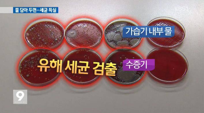 가습기 내부 오염과 미생물 위험을 설명하는 이미지