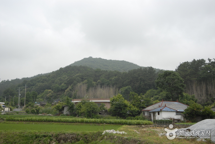 서천 가볼만한곳 베스트10