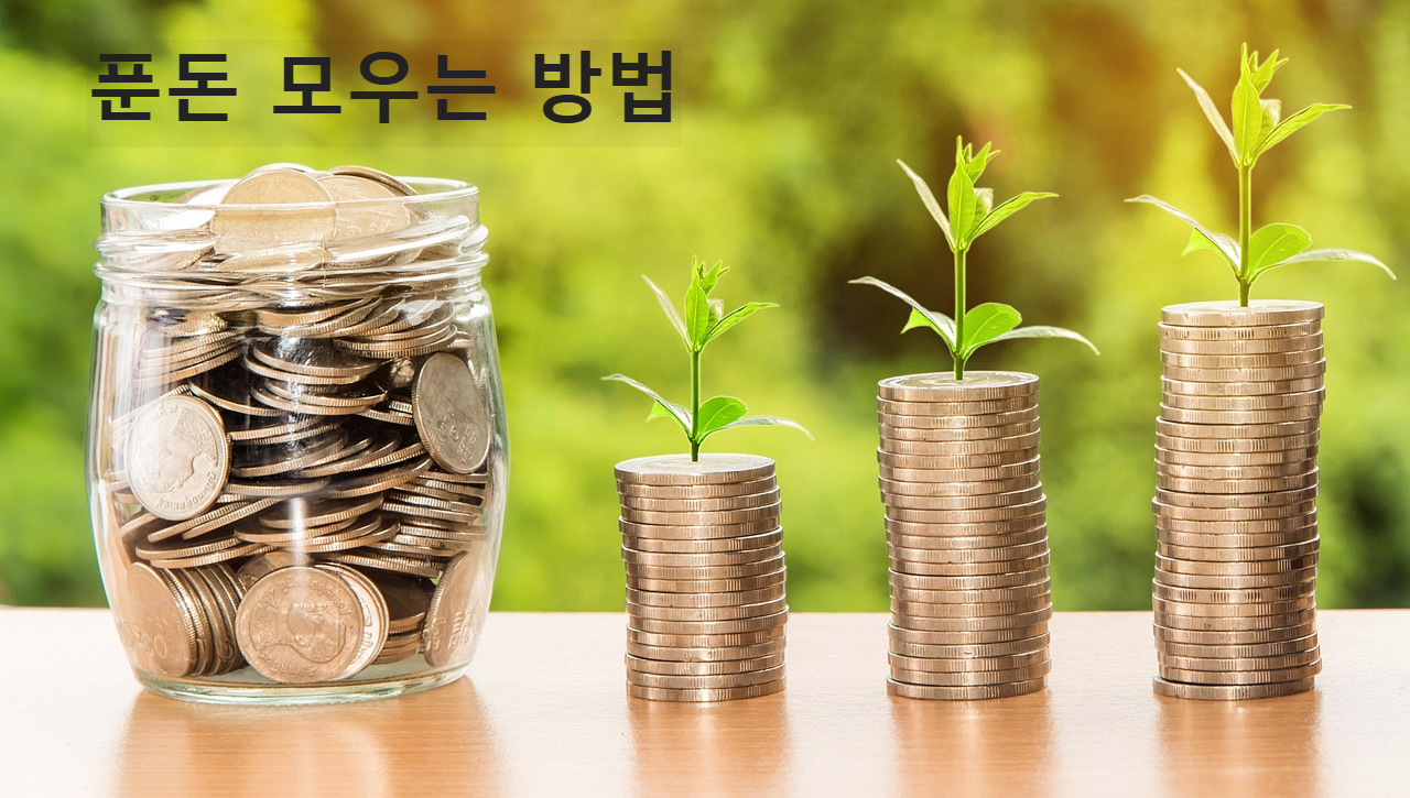 동전