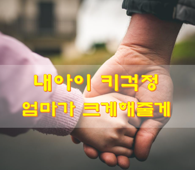 아이클타임-가격