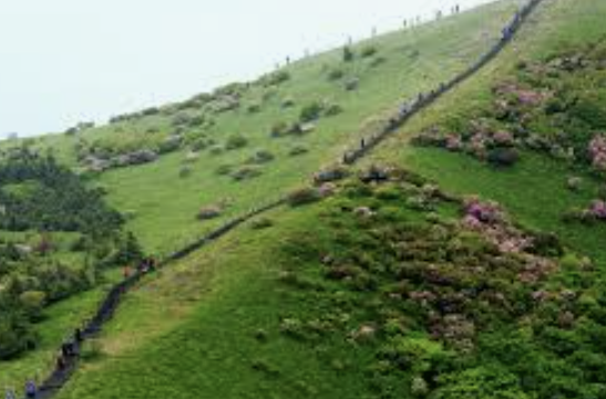 중앙선 KTX 정차역15