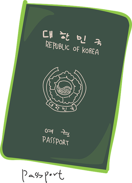 전자비자발급방법