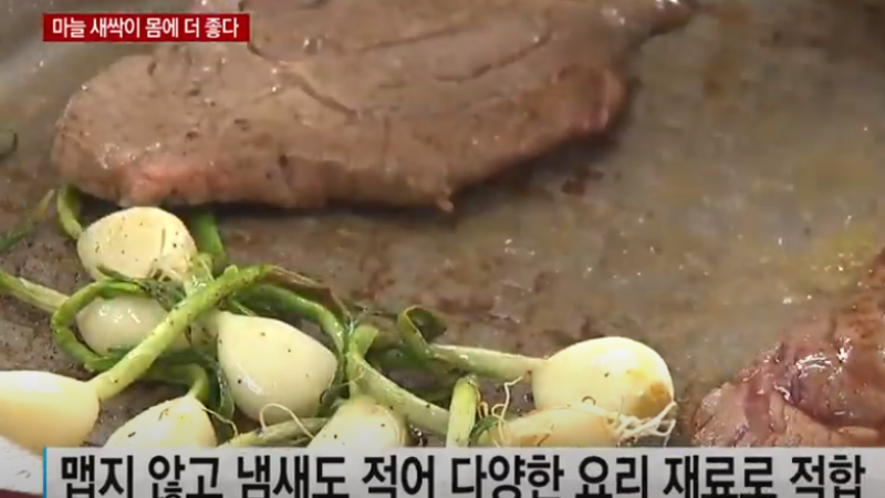 싹난마늘 먹어도될까 새싹마늘 효능 효과