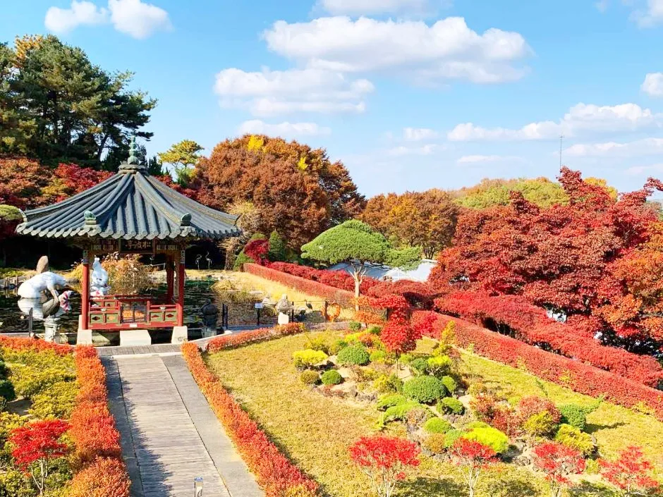 베어트리파크-단풍