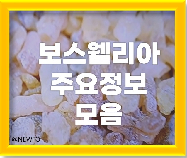 보스웰리아의 주요 정보, 효능, 부작용 및 주의사항