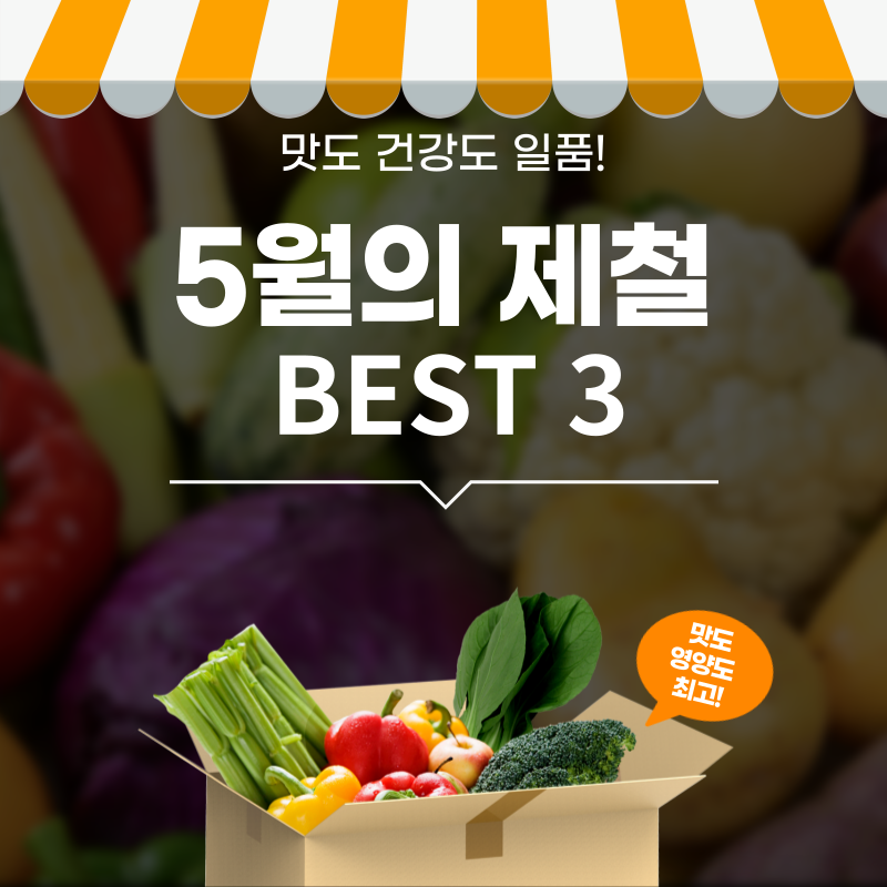 5월 제철 썸네일