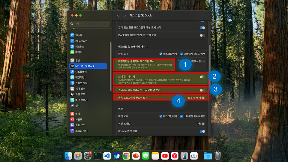 MacOS 스테이지 매니저 설정