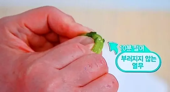 열무손질