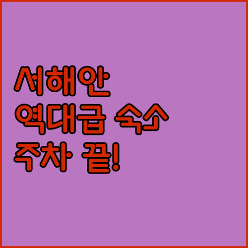 서해안 비즈니스 출장과 여행 숙소 추..