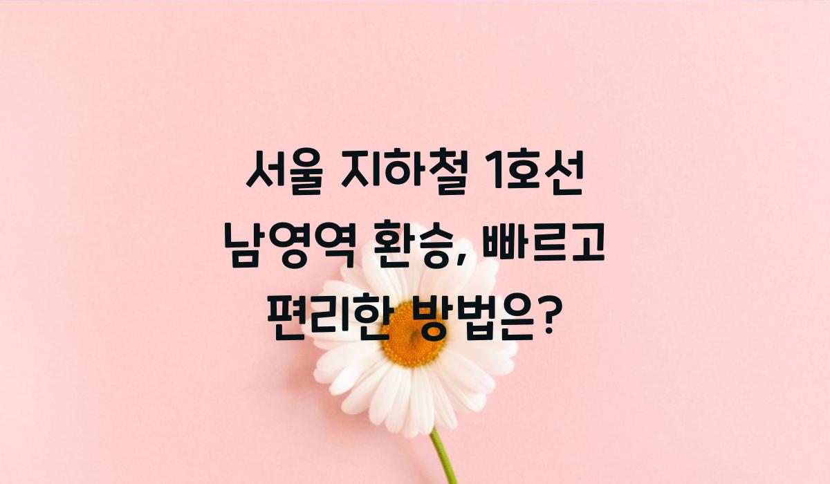 서울 지하철 1호선 남영역 환승