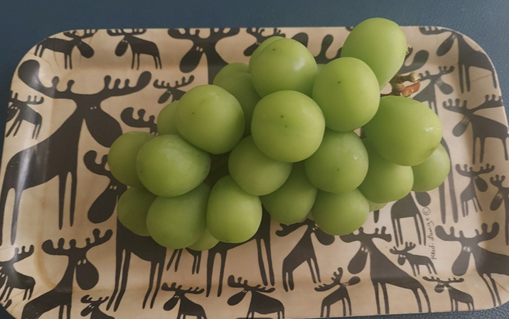 샤인 머스켓 효능