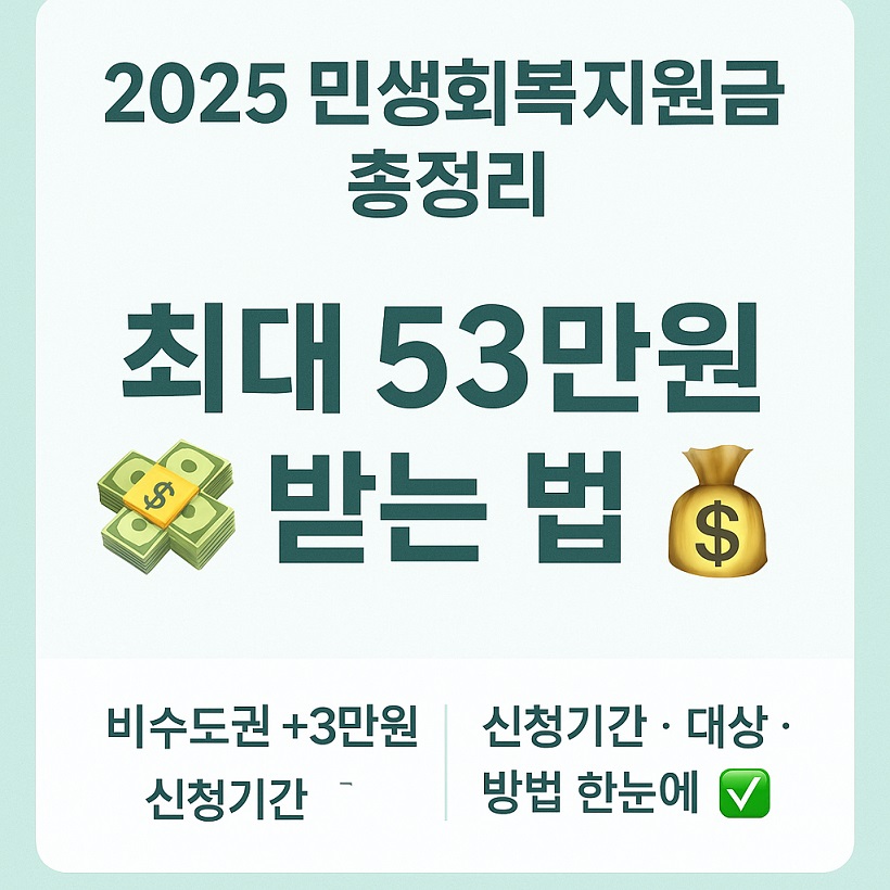 민생회복 소비쿠폰