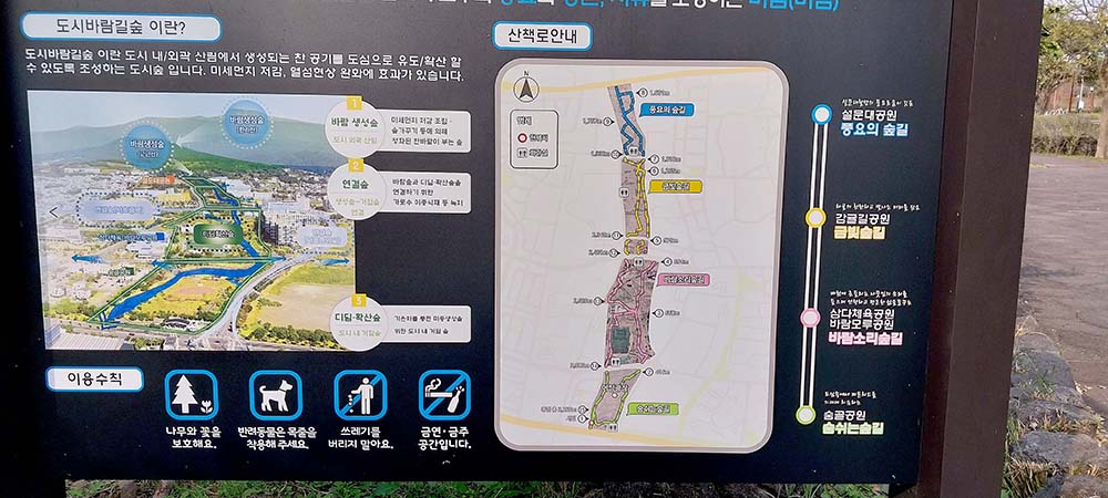 제주 서귀포 숲길