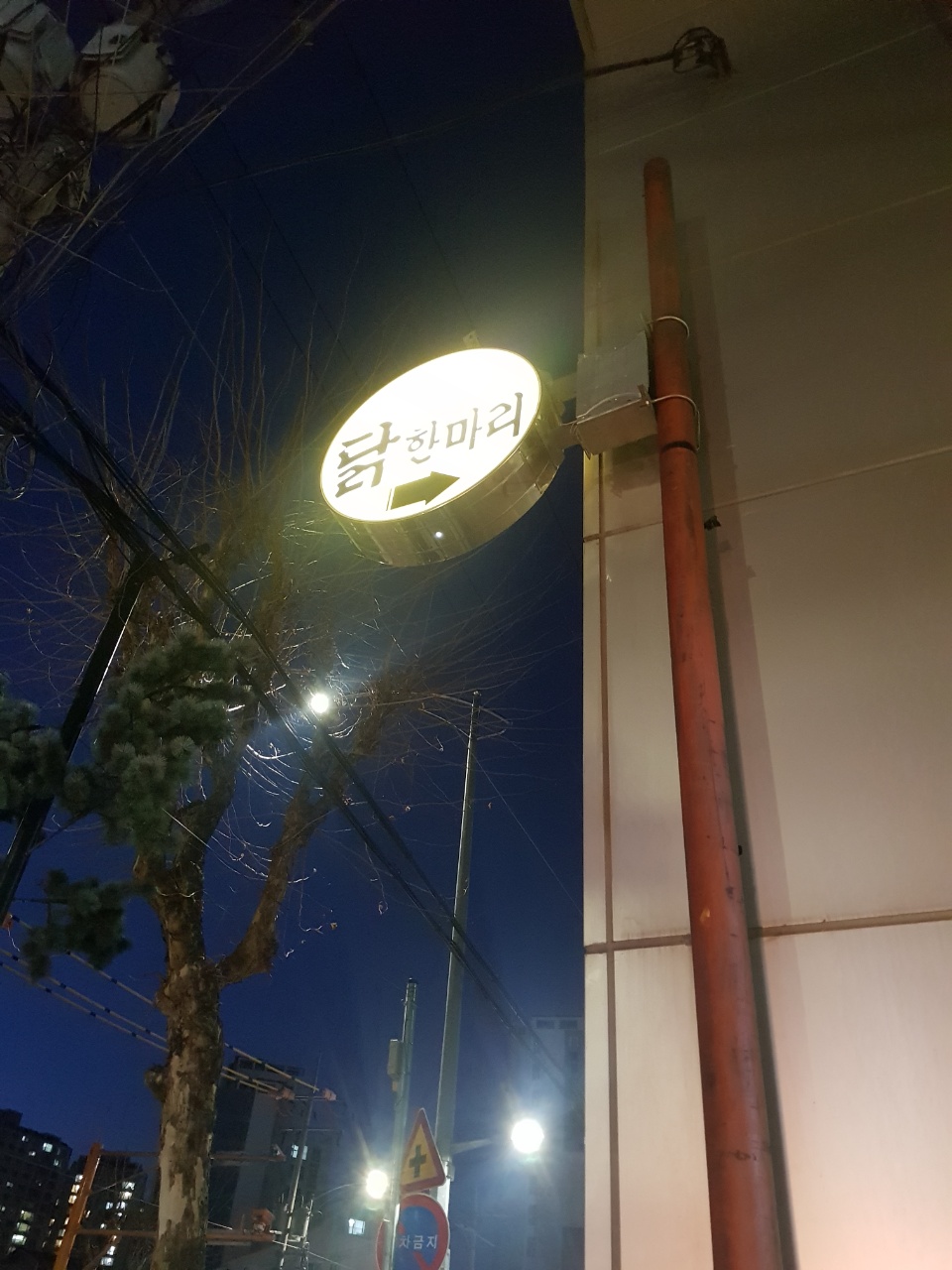 동대문구 답십리 맛집 장원 닭한마리 리뷰 닭한마리 맛집