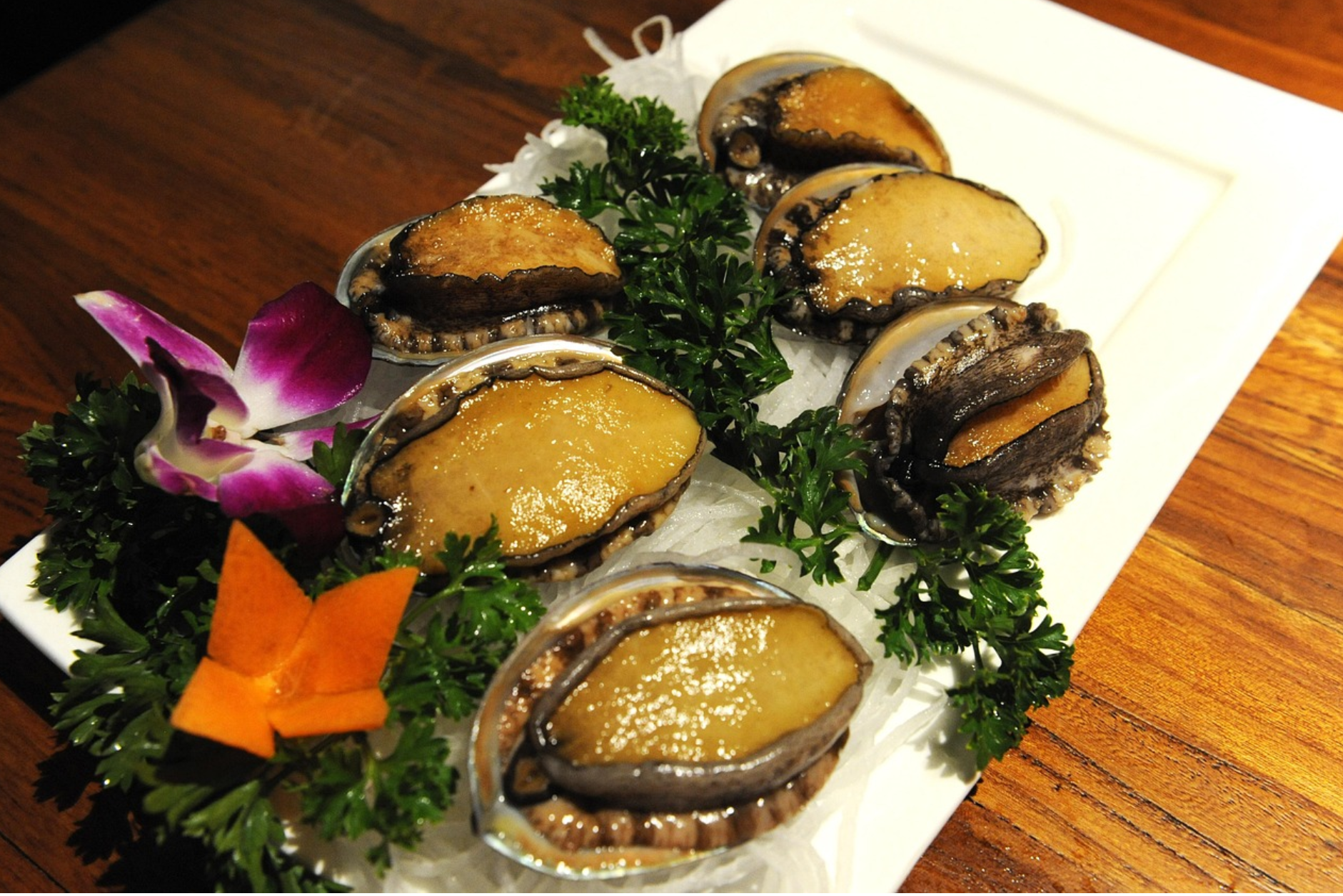 전복(Abalone) 완전 가이드 관련 사진