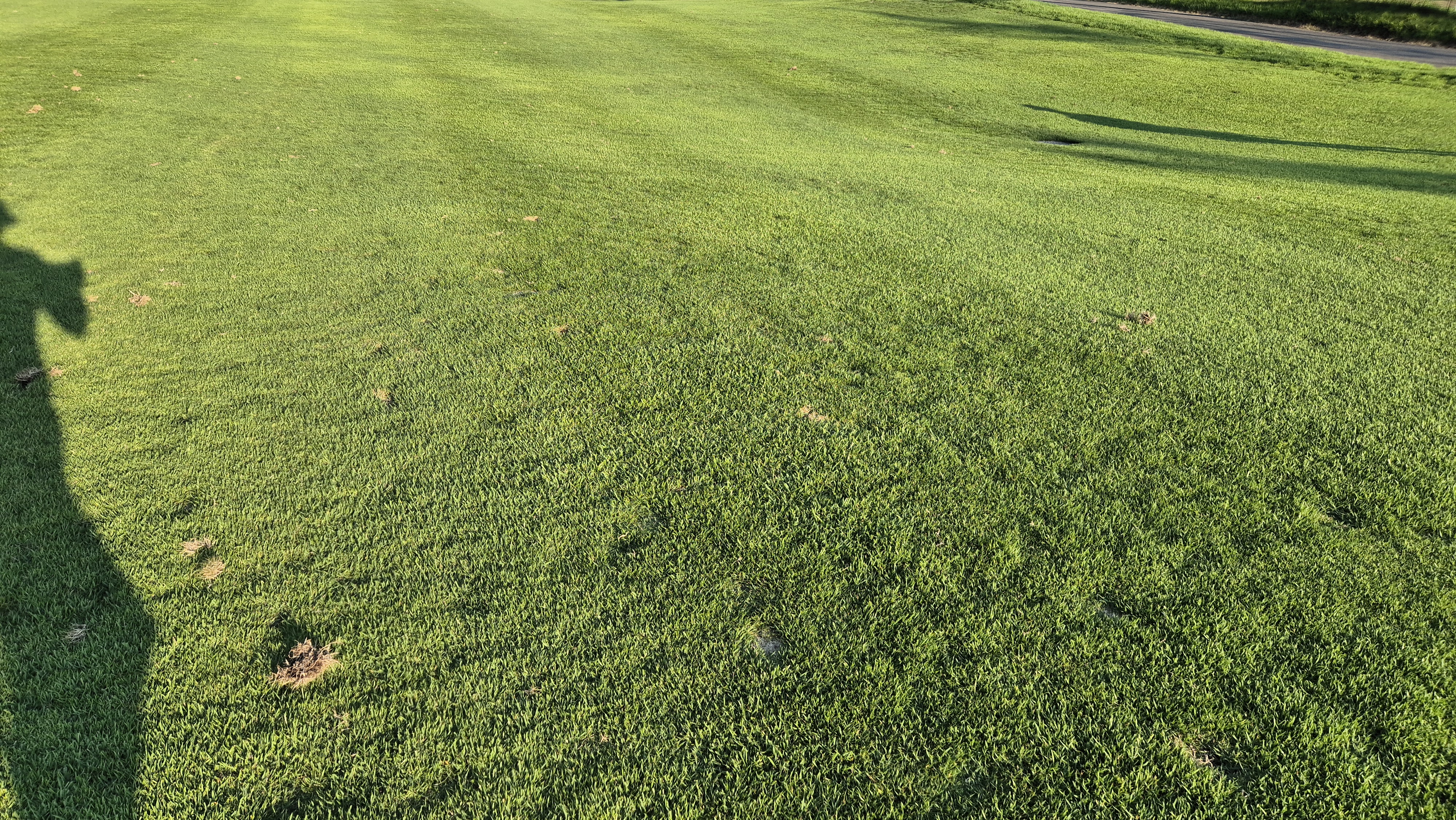 힐데스하임cc 밸리-레이크 코스 라운드 후기