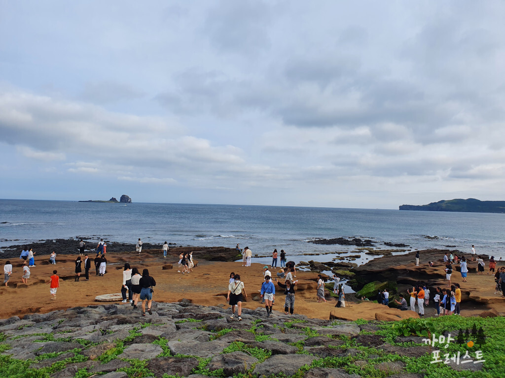 사계 해변 인파