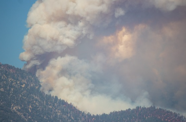 산불재난지원금