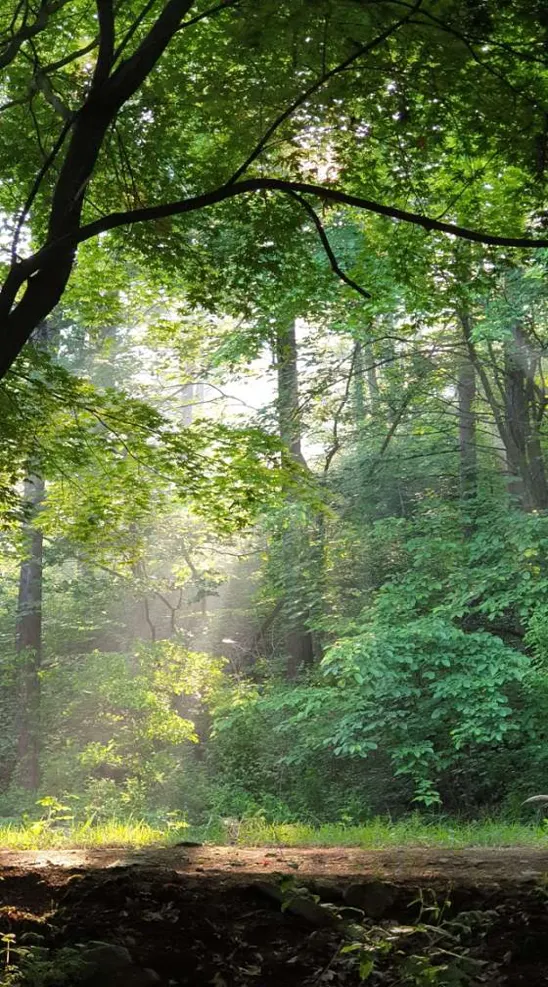 아버지의숲 산정캠프