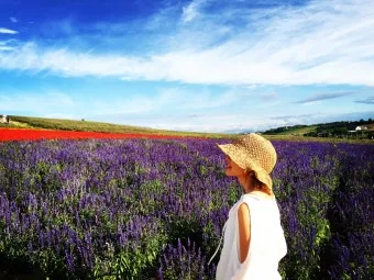 홋카이도 여름 여행코스 4박5일 일정과 맛집 정보 정리_13