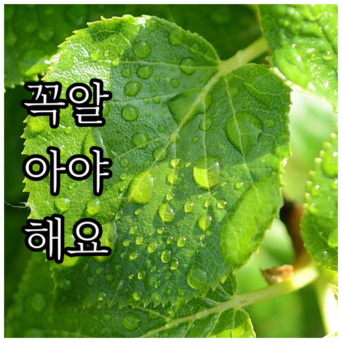 2025 울산 장애아동 보육료 지원 ..