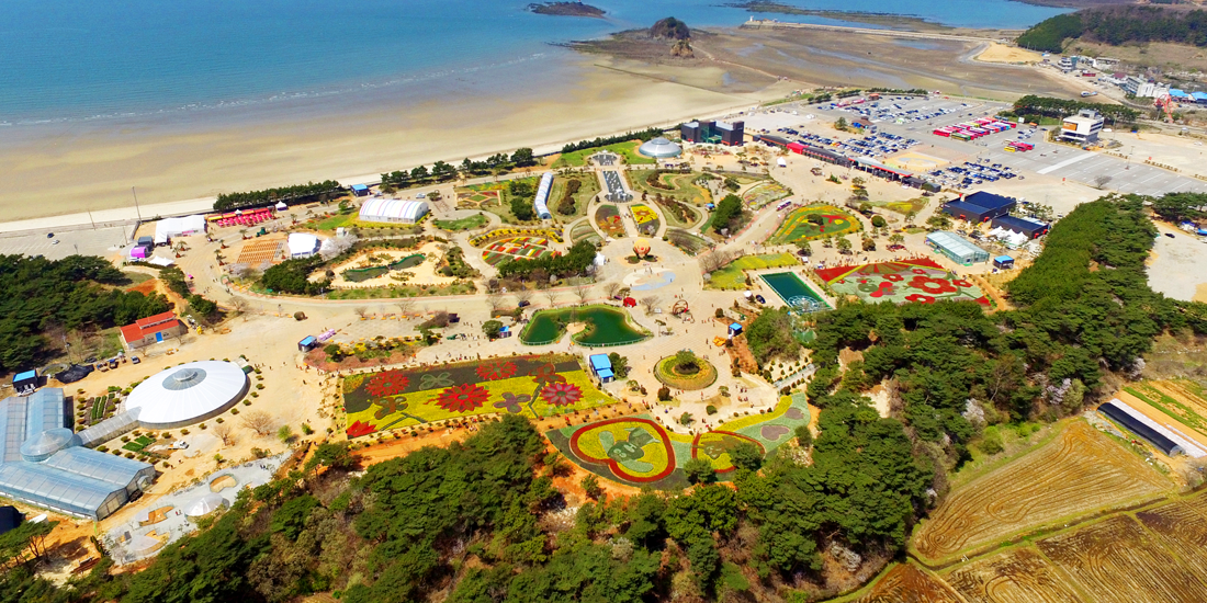 태안 튤립축제 기간, 입장료, 여행코스, 맛집 총정리