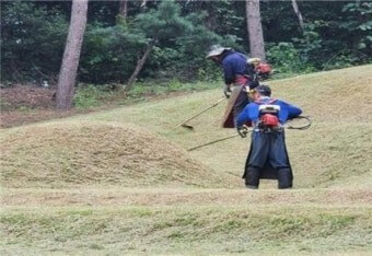 명절을-맞아-형제들이-모여-벌초를-깨끗이-하는-모습