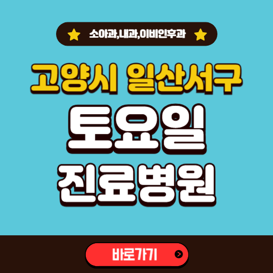 고양시 일산서구 토요일 진료 병원 찾기 ❘ 주말 문여는 소아과, 내과, 이비인후과 리스트