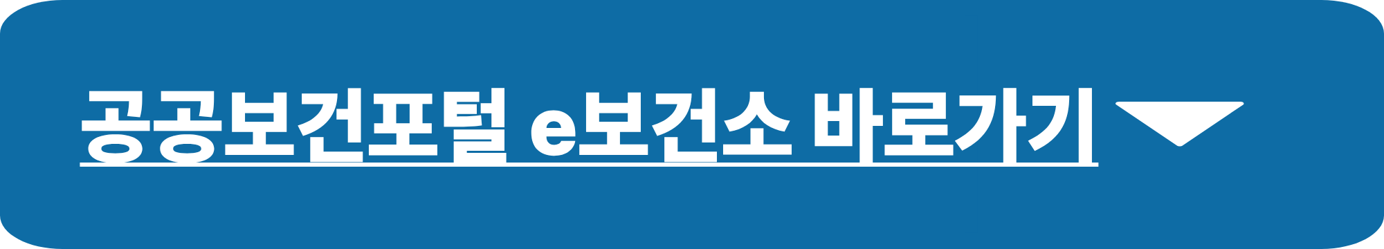 보건증 발급