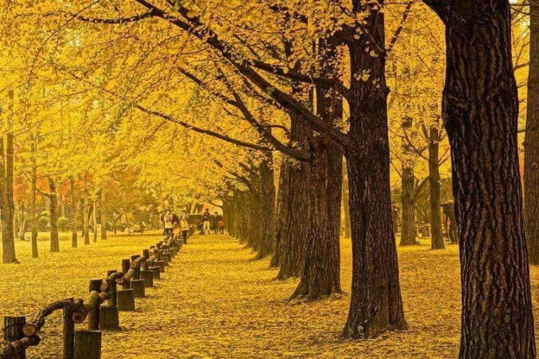 가을 단풍 명소