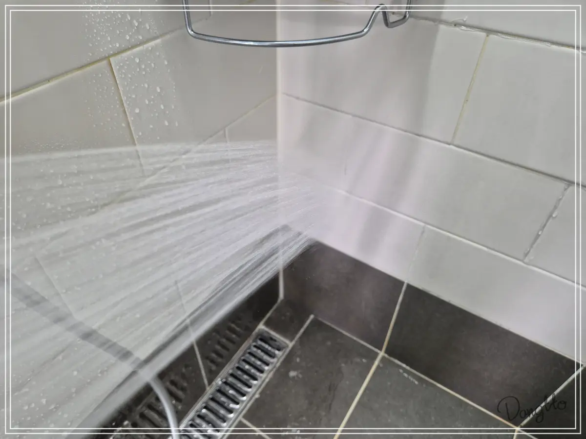 곰팡이-제거제-샤워기로-물을-뿌려-제거하는-과정