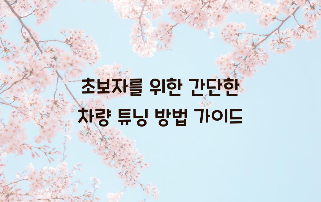 초보자를 위한 간단한 차량 튜닝 방법