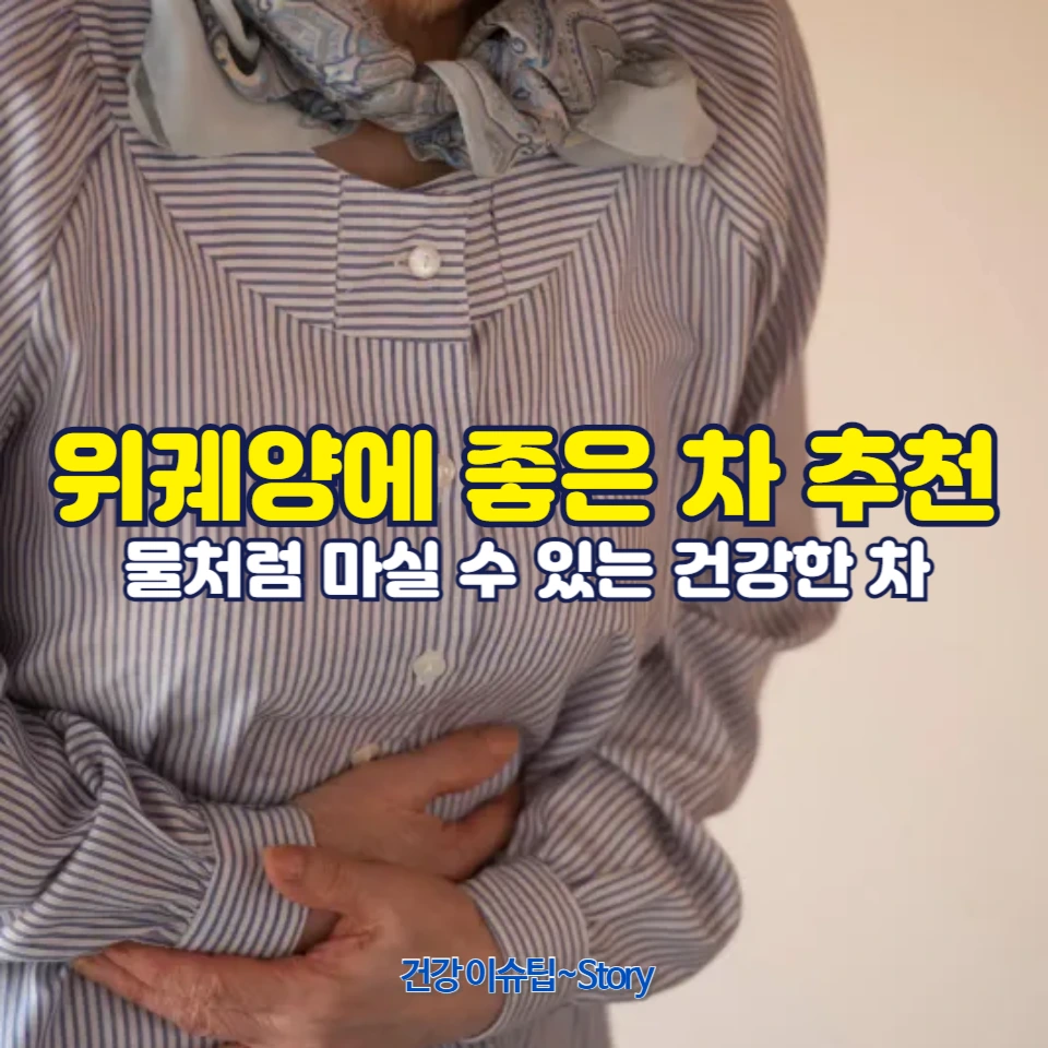 위궤양에 좋은 차 추천