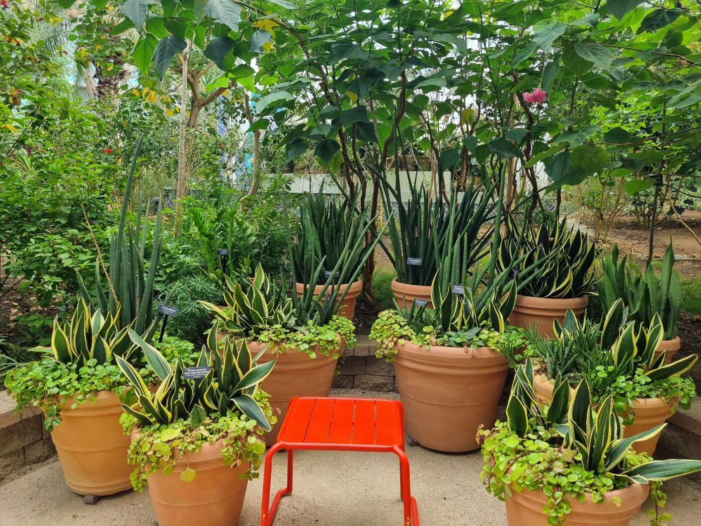 보라매공원 2025 서울 국제정원박람회 일정 가는 길