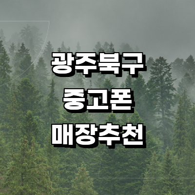 광주 북구 중고폰