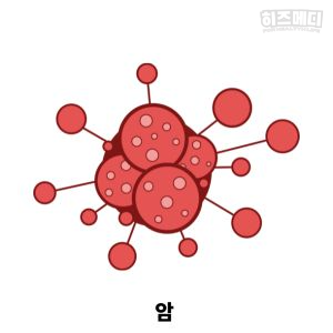 혈청 크레아티닌 정상수치