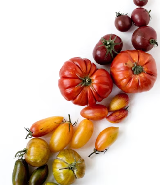 용종제거 보험청구 서류 실비보험 용종제거후 식사 음주 음식