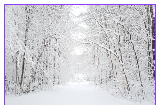 24절기 대설(大雪) 뜻 유래 풍속 알아보기