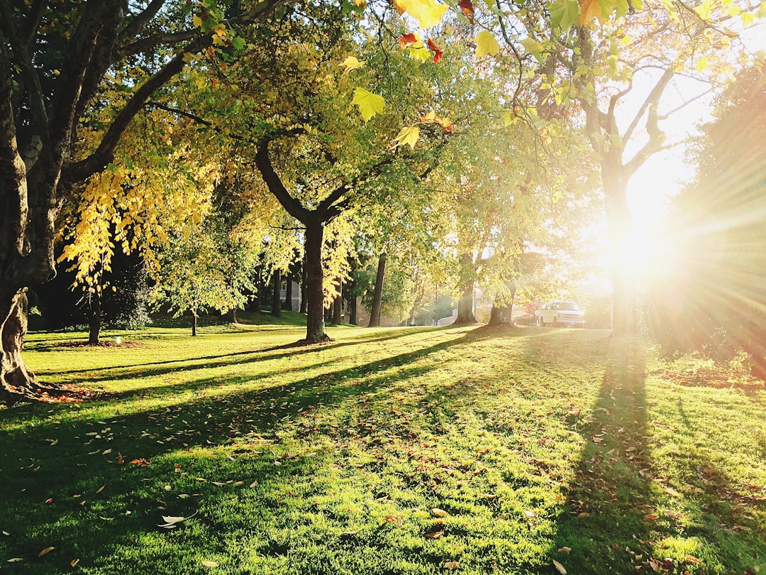 Park